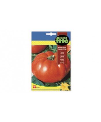 SB TOMATE MARMANDE CUARENTENO