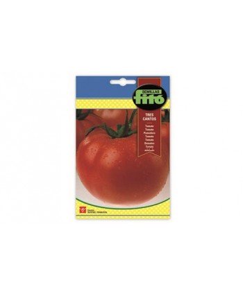 SB TOMATE TRES CANTOS