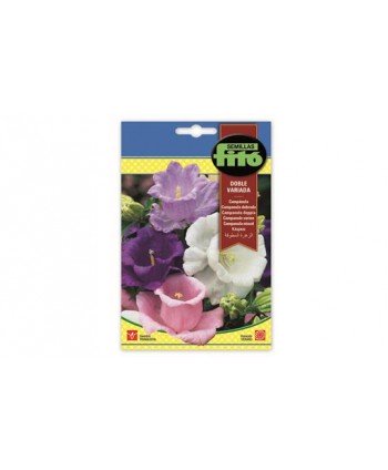 SB CAMPANULA DOBLE VARIADA