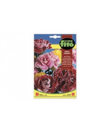 SB CLAVEL CHINO DOBLE VARIADO