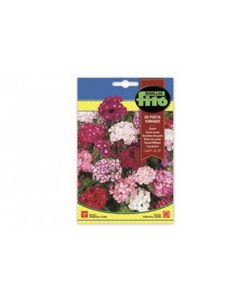 SB CLAVEL DE POETA VARIADO