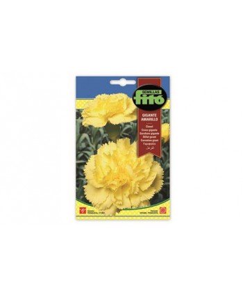 SB CLAVEL GIGANTE AMARILLO