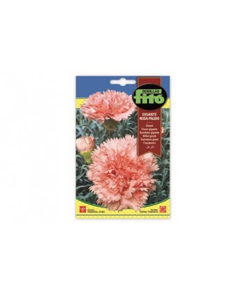 SB CLAVEL GIGANTE ROSA PALIDO