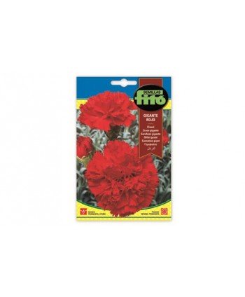 SB CLAVEL GIGANTE ROJO