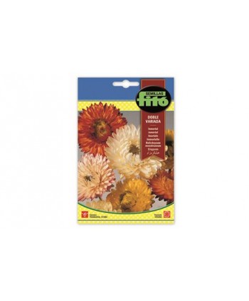 SB INMORTAL FLOR DE PAPEL - SIEMPREVIVA