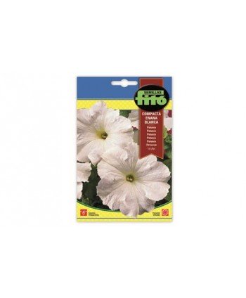SB PETUNIA COMPACTA ENANA BLANCA