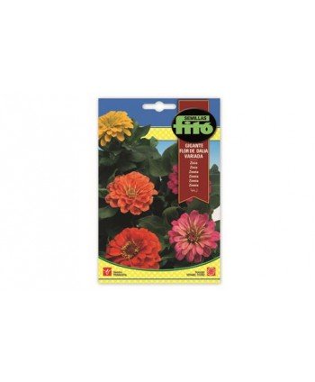 SB ZINNIA GIGANTE FLOR DE DALIA VARIADA