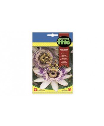 SB PASIONARIA TREPADORA