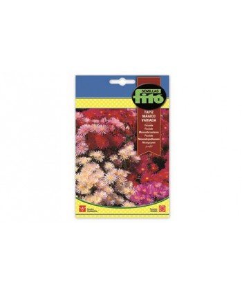 SB FICOIDE TAPIZ MAGICO VARIADO