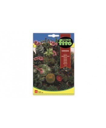 SB CACTUS Y PLANTAS CRASAS VARIADAS