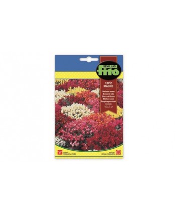 SB ANTIRRINO ENANO TAPIZ MAGICO