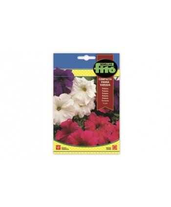SB PETUNIA COMPACTA ENANA VARIADA