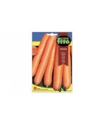 SB ZANAHORIA TOUCHON