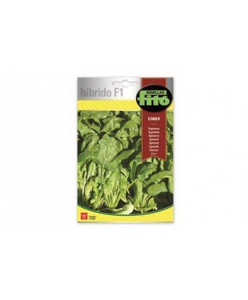 SB ESPINACA ESMER HIBRIDO