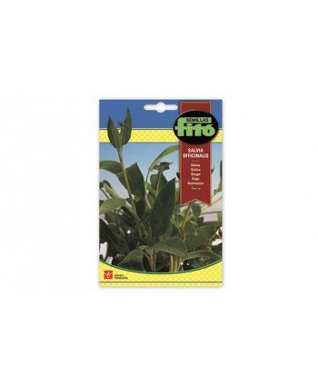 SB SALVIA OFFICINALIS