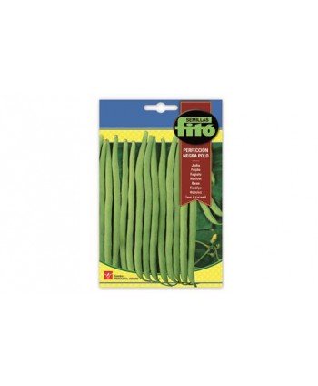 SB JUDIA PERFECCION NEGRA POLO