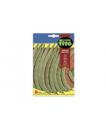 SB JUDIA GARRAFAL ORO VELEZ