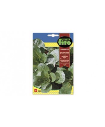 SB CANONIGOS HIERBA DE LOS CANONIGOS