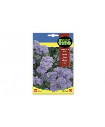 SB AGERATUM DE MEXICO AZUL