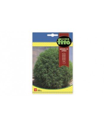 SB KOCHIA MIRABEL DE CIPRES