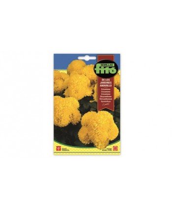 SB CRISANTEMO DE LOS JARDINES AMARILLO