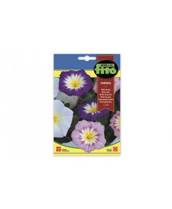 SB BELLA DE DIA VARIADA