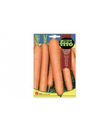 SB ZANAHORIA DE COLMAR CORAZON ROJO