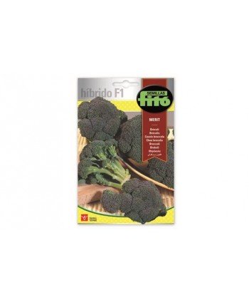 SB BROCOLI MERIT HIBRIDO F1