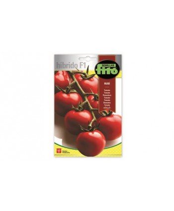 SB TOMATE RUBI HIBRIDO F1