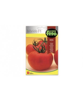 SB TOMATE CRISOL HIBRIDO F1