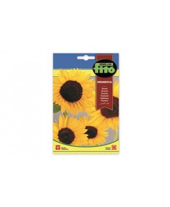 SB GIRASOL ORNAMENTAL
