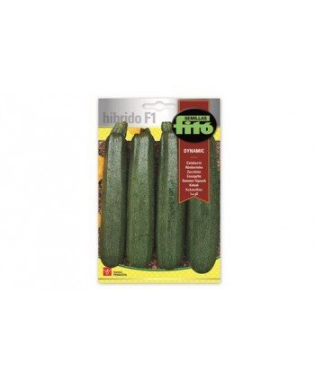 SB CALABACIN DYNAMIC HIBRIDO F1