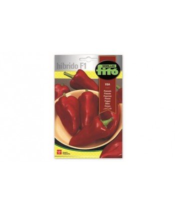SB PIMIENTO EGA HIBRIDO F1