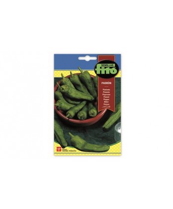 SB PIMIENTO PADRON
