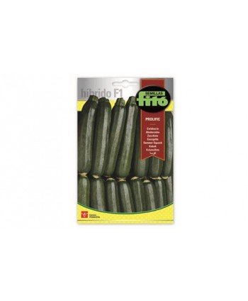 SB CALABACIN PROLIFIC HIBRIDO F1