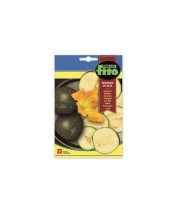 SB CALABACIN REDONDO DE NIZA