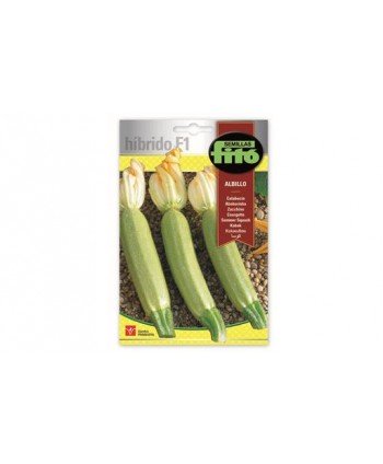 SB CALABACIN ALBILLO HIBRIDO F1