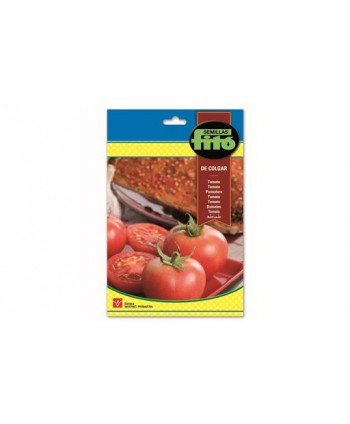 SB TOMATE DE COLGAR