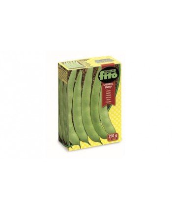 JUDIA GARRAFAL ENANA ESMERALDA - 250 GR