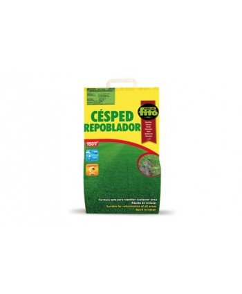 CESPED REPOBLADOR - 5 KG