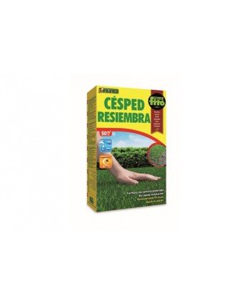 CESPED RESIEMBRA - 1 KG