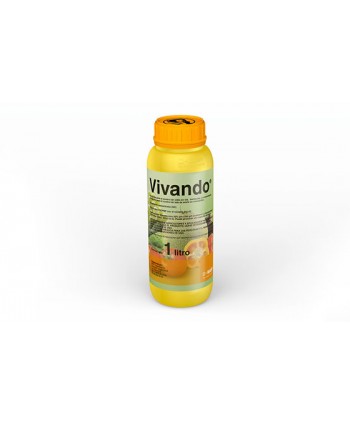 VIVANDO - 1 L